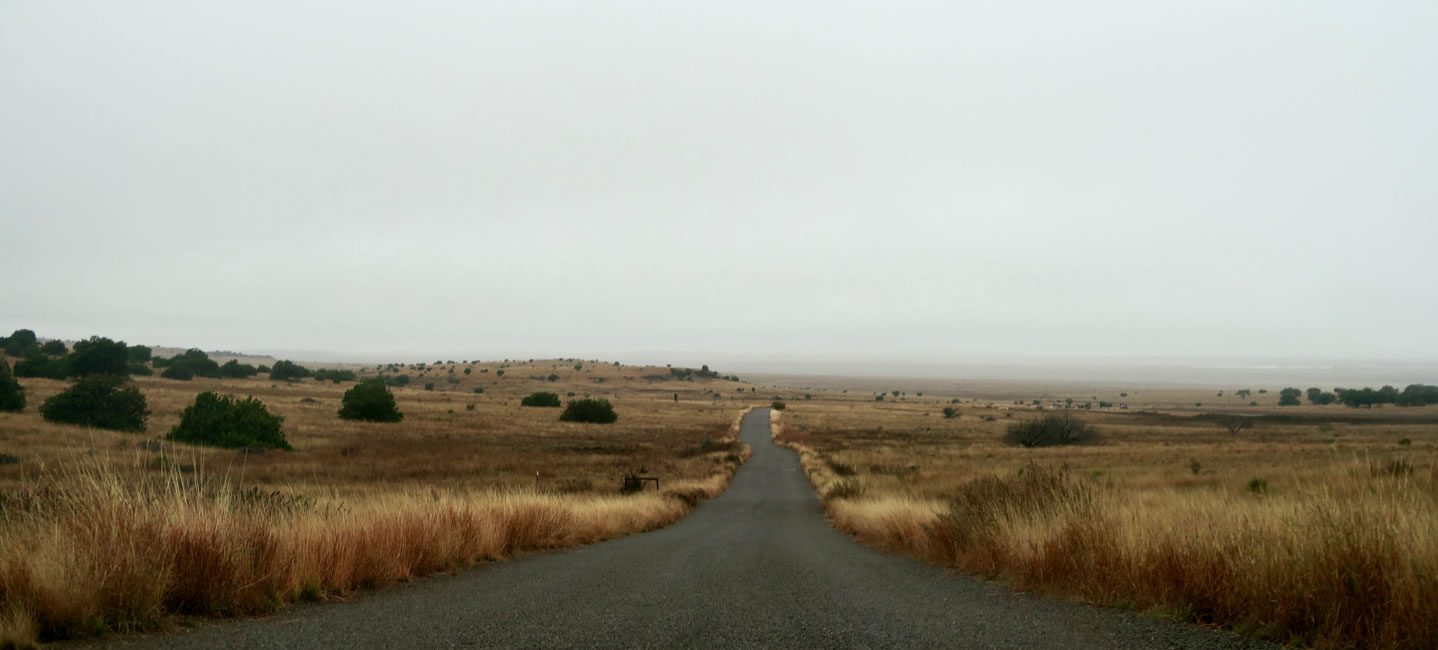 West Texas road