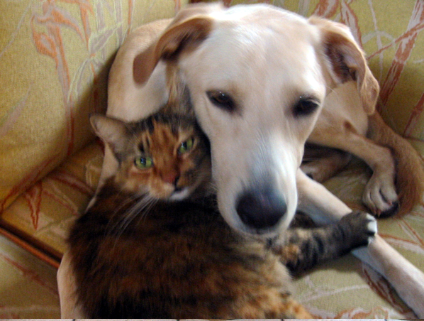 Frida and Townes